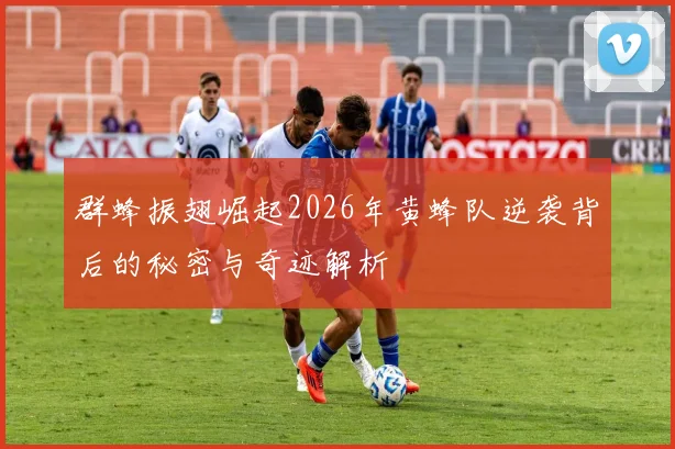 群蜂振翅崛起2026年黄蜂队逆袭背后的秘密与奇迹解析