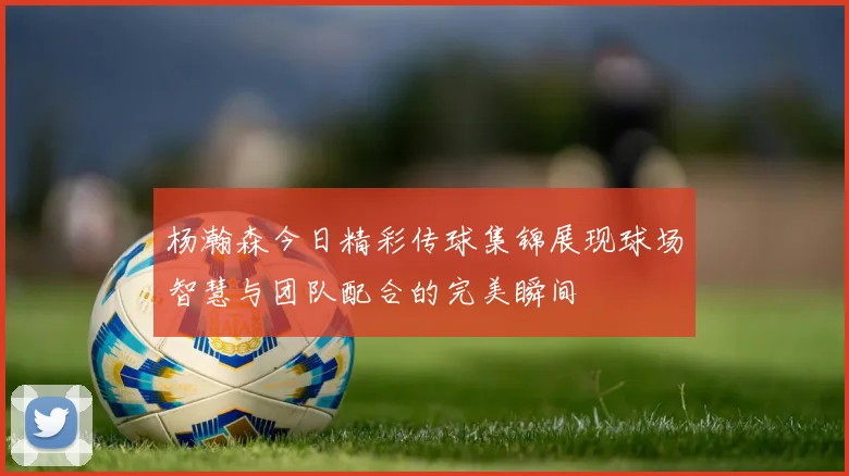 杨瀚森今日精彩传球集锦展现球场智慧与团队配合的完美瞬间