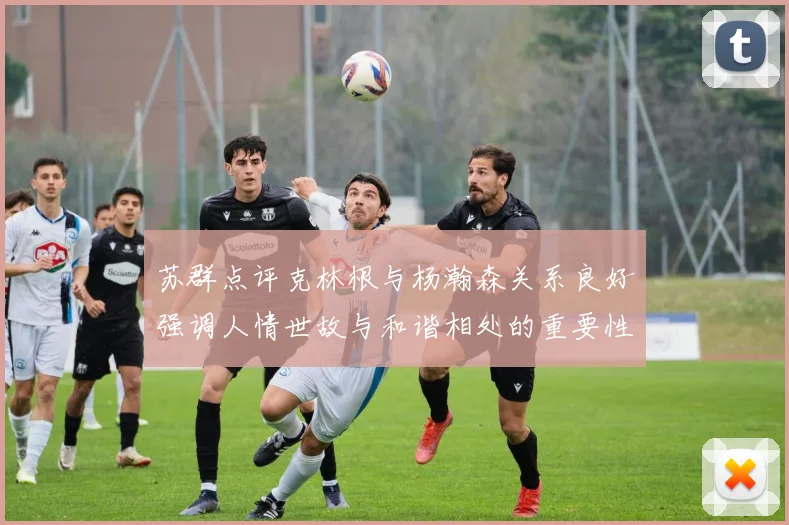 苏群点评克林根与杨瀚森关系良好强调人情世故与和谐相处的重要性