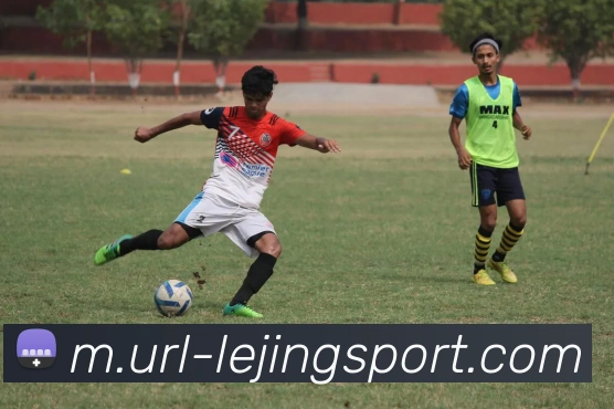 乐竞体育平台生态图